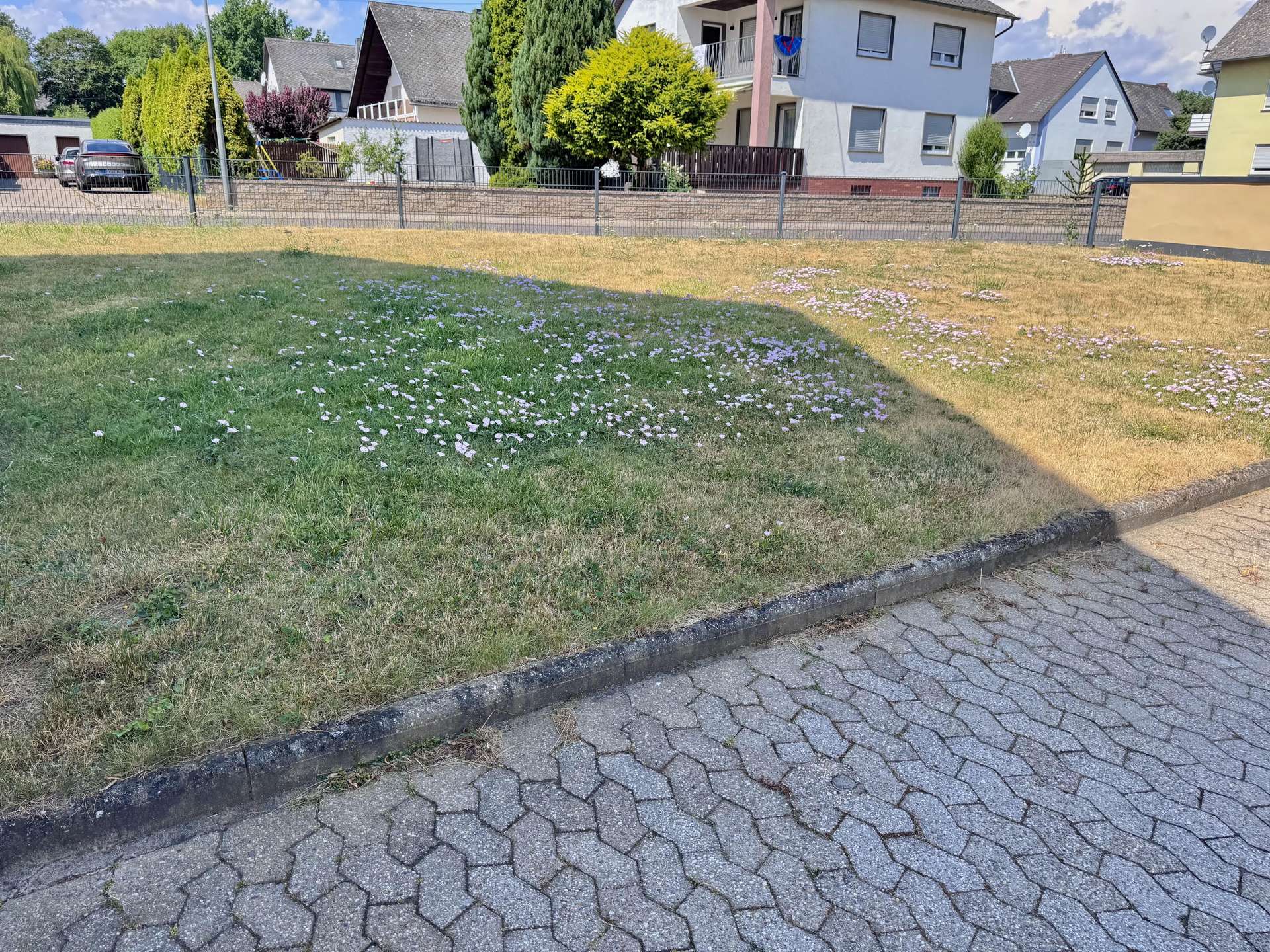 Sehr gepflegt, voll vermietet, gro&szlig;es Grundst&uuml;ck